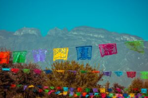 purple and yellow flowers near mountain during daytime